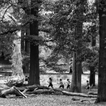 Richmond Park, Londen