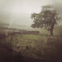 Wales, landschap, smartphonephotography