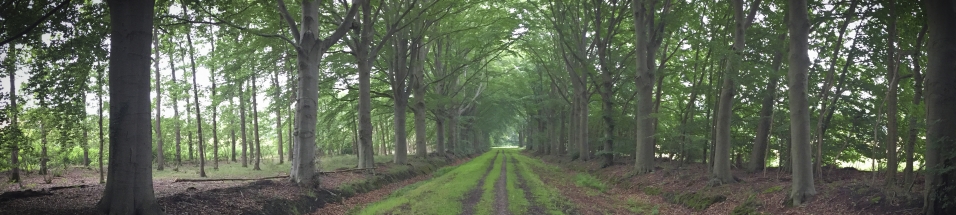 panorama, Landgoed Eese, Steenwijk